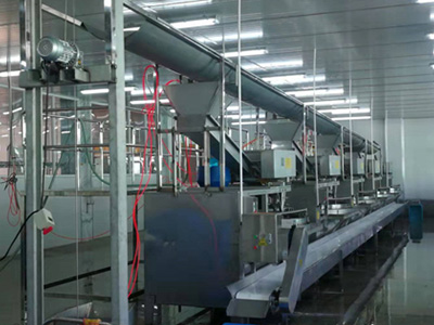 操作全自動面筋機如何防范引發(fā)的食品風險？